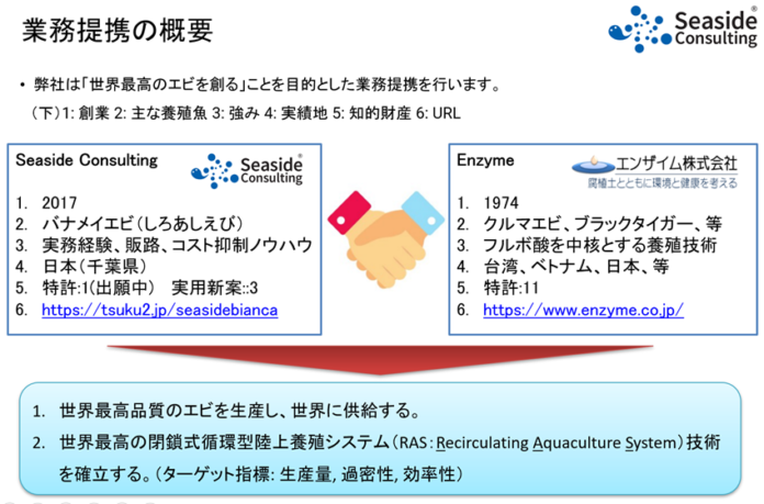 「世界最高のエビを創る！」千葉県鋸南町の耕作放棄地を活用したエビ養殖Seaside Consultingと、フルボ酸技術を用い国内外のエビ養殖で実績のあるエンザイムが業務提携。のメイン画像