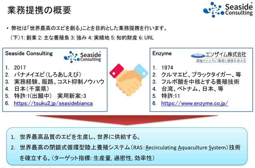 「世界最高のエビを創る！」千葉県鋸南町の耕作放棄地を活用したエビ養殖Seaside Consultingと、フルボ酸技術を用い国内外のエビ養殖で実績のあるエンザイムが業務提携。のサブ画像1