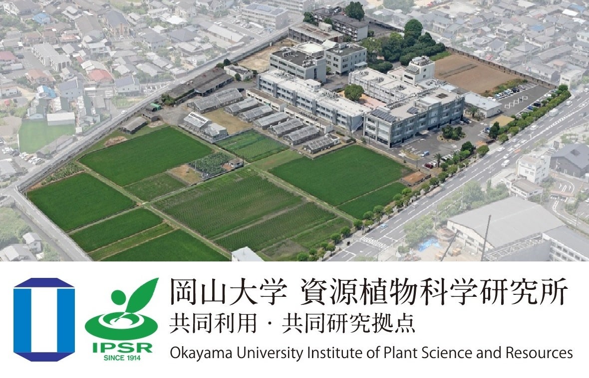 【岡山大学】岡山大学資源植物科学研究所 令和4年度共同研究拠点オンラインワークショップ「イネ科作物の穂先突起の形態を制御する遺伝子」〔12/21 水〕のサブ画像3