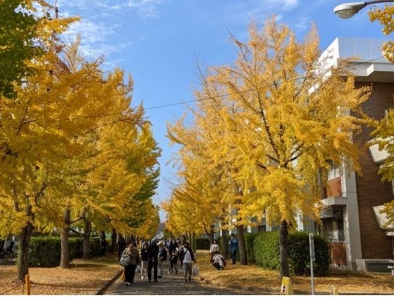 【岡山大学】第46回収穫祭、農学部フェアを3年ぶりに公開実施しましたのサブ画像4_芋掘り体験(フィールドセンター)へ