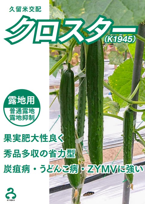 きゅうり種子の品種開発を手掛ける「久留米原種育成会」が新品種を発表のサブ画像2
