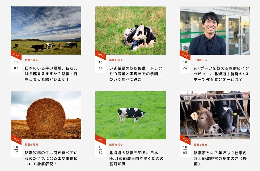 北海道・十勝の畜産企業が運営する “酪農転職 × 地方移住” がテーマのオウンドメディア「NOBELS WAVE」が開設 1 年、累計 10 万 PV 突破　のサブ画像3