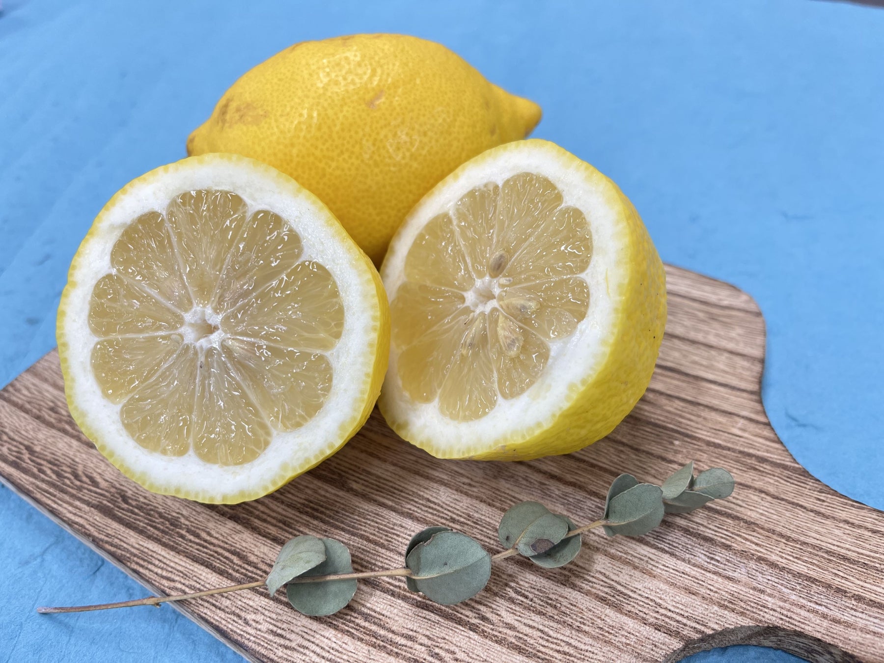 「興居島レモン」を まつやま農林水産物ブランドに認定のサブ画像1