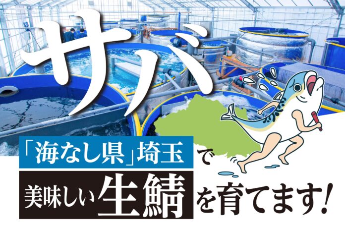 生サバを食べられる権利や、オリジナルグッズの販売も。海なし県埼玉の「温泉サバ陸上養殖場」がクラウドファンディングを実施のメイン画像