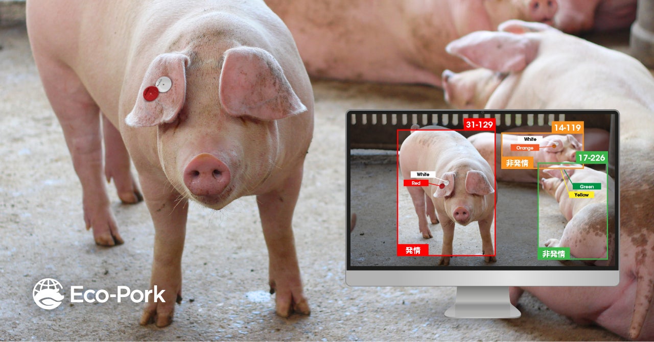 アニマルウェルフェアに対応した国内初の繁殖豚管理AI技術を開発。23年度中にサービス開始予定。のサブ画像1