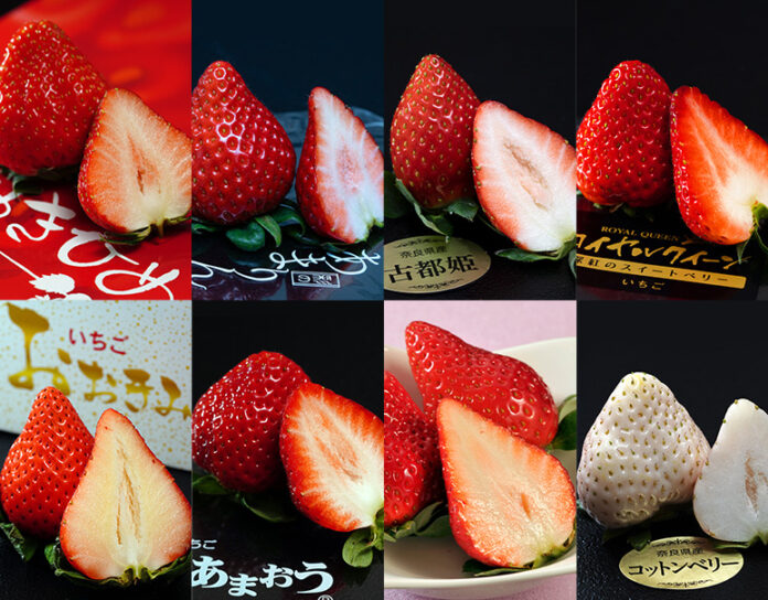 【1月15日いちごの日】最盛期を迎えた苺の魅力をもっと伝えたい！全国の産地から厳選し8種類を一度に食べ比べできる「プレミアムいちごフェス」のメイン画像