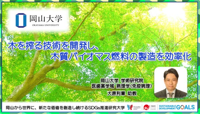 【岡山大学】木を搾る技術を開発し、木質バイオマス燃料の製造を効率化のメイン画像