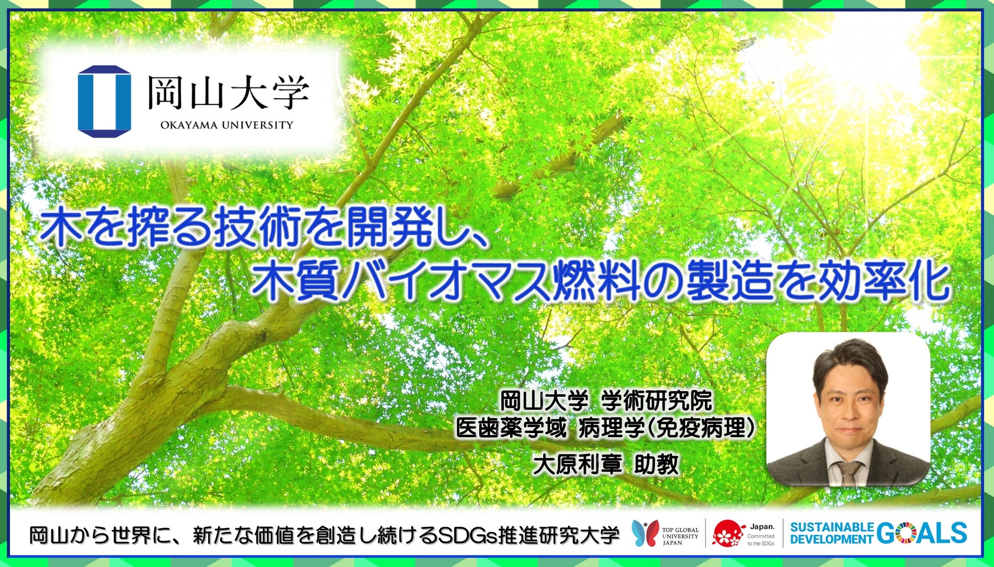 【岡山大学】木を搾る技術を開発し、木質バイオマス燃料の製造を効率化のサブ画像1