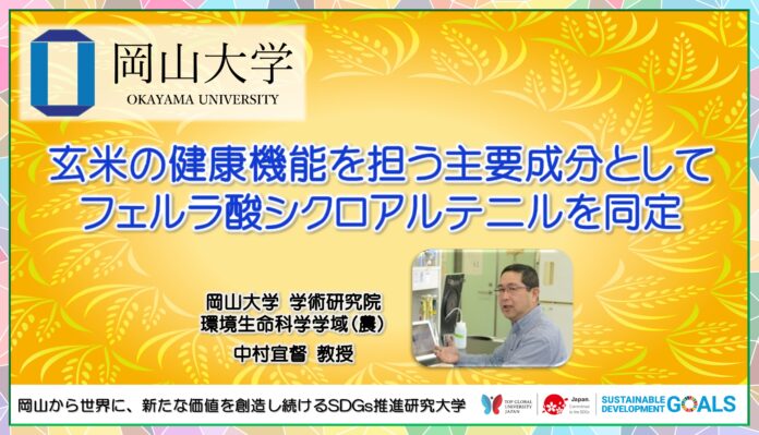 【岡山大学】玄米の健康機能を担う主要成分としてフェルラ酸シクロアルテニルを同定のメイン画像