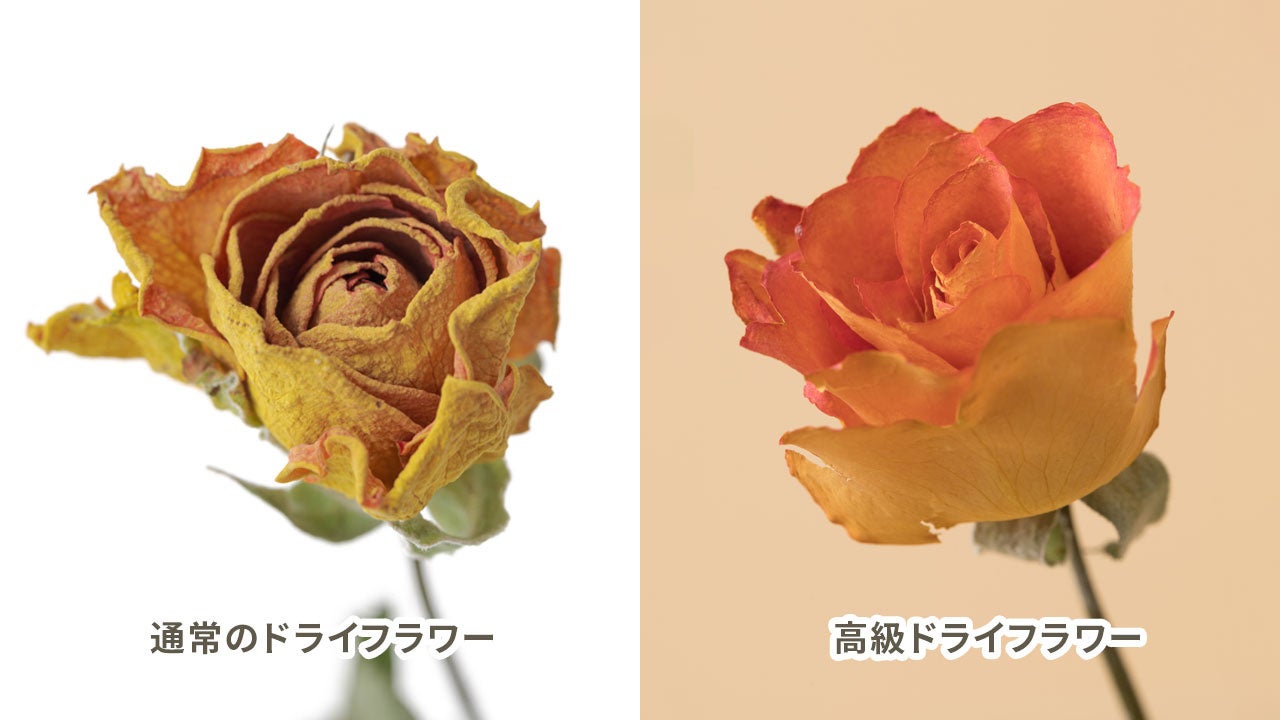 花き産業の新たなトレンド「ホームユース」の需要拡大を目指す卸売サービス「Flower Smith Market（フラワースミスマーケット）」オープン！のサブ画像4