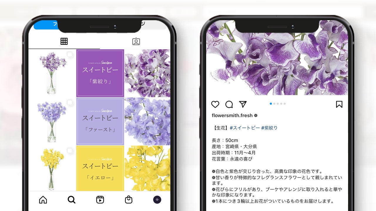 花き産業の新たなトレンド「ホームユース」の需要拡大を目指す卸売サービス「Flower Smith Market（フラワースミスマーケット）」オープン！のサブ画像6