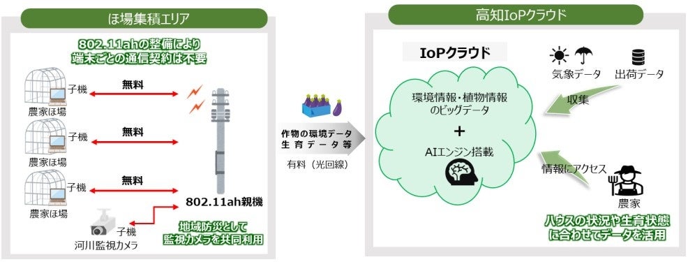 新たなプライベートネットワークを活用した高知県IoPクラウドの更なる普及促進に向けた実証の実施のサブ画像2