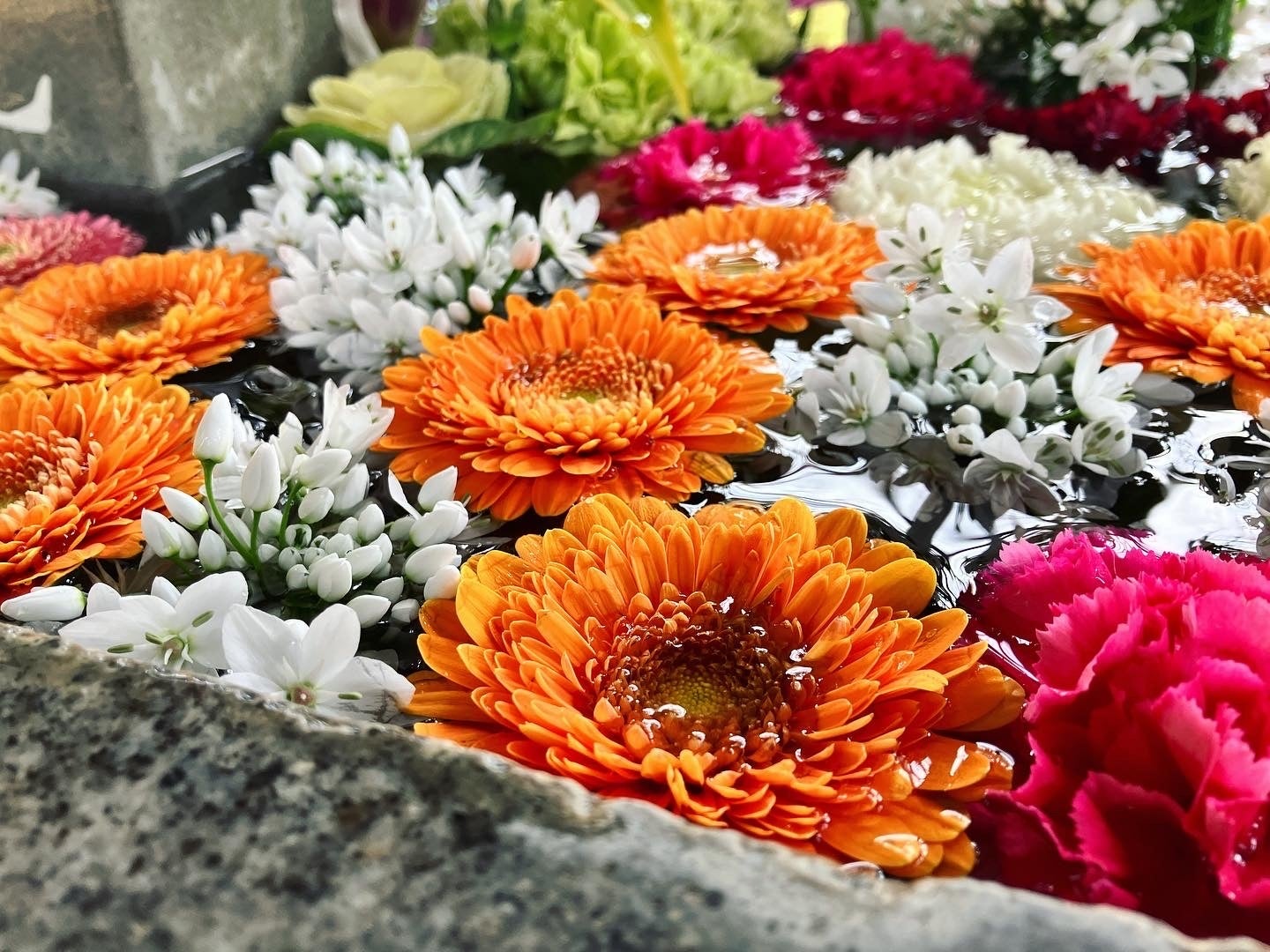 徳島県那賀町蛭子（ひるこ）神社での那賀町特産花きを使った花手水（はなてみず）についてのサブ画像1