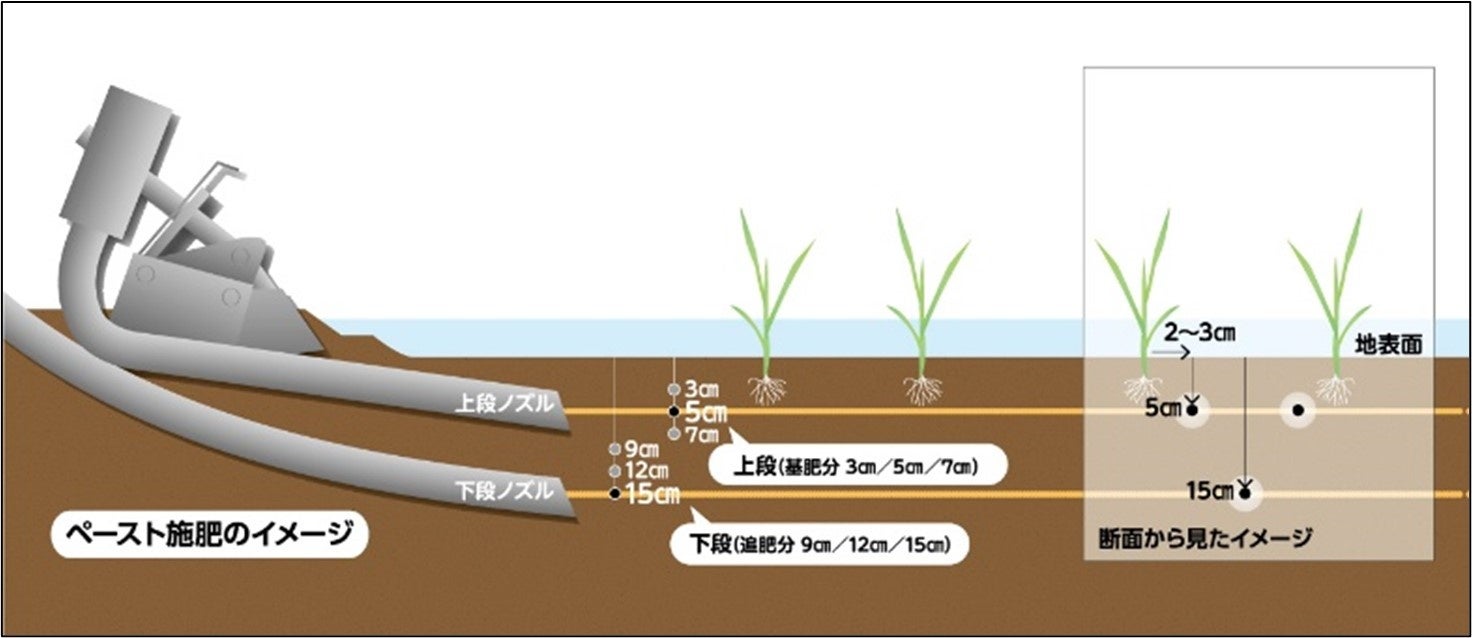 マイクロプラスチック殻を使わない水稲ペースト一発肥料の有効性を確認。食味良好、収穫量は平均を上回る。のサブ画像3_ペースト二段施肥のイメージ図