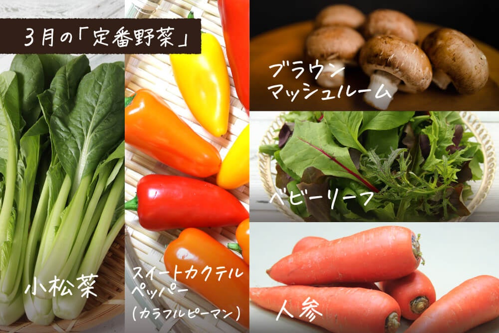 ポケットマルシェが、旬の野菜と定番野菜がセットのサブスクサービス「季節を味わう 旬のお野菜定期便」を立ち上げのサブ画像4