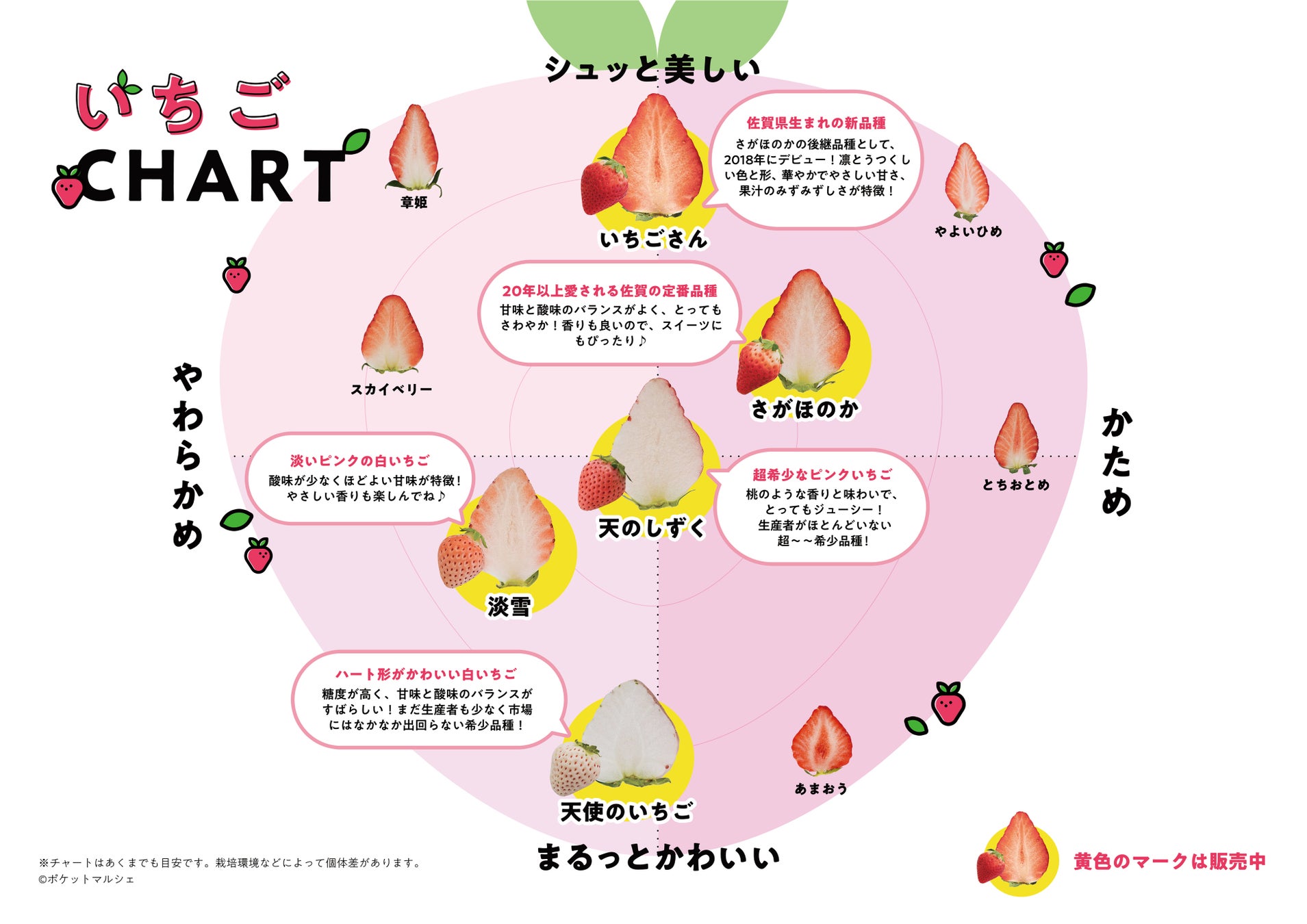佐賀県のブランドいちご5種が味わえるイベントをマルイファミリー溝口で開催　全品種が楽しめる食べ比べカップも販売、県産食材の魅力を伝え関係人口の創出を目指すのサブ画像9