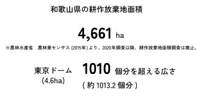 【耕作放棄地解消に貢献】スポーツチームとタッグを組んでムクナ豆の栽培農地を募集していますのサブ画像2