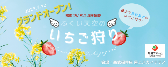 都市型いちご収穫体験「ふくい天空のいちご狩り」を開始！百貨店屋上を活用した国内最大級の屋外いちご狩りで地方を元気に！のメイン画像