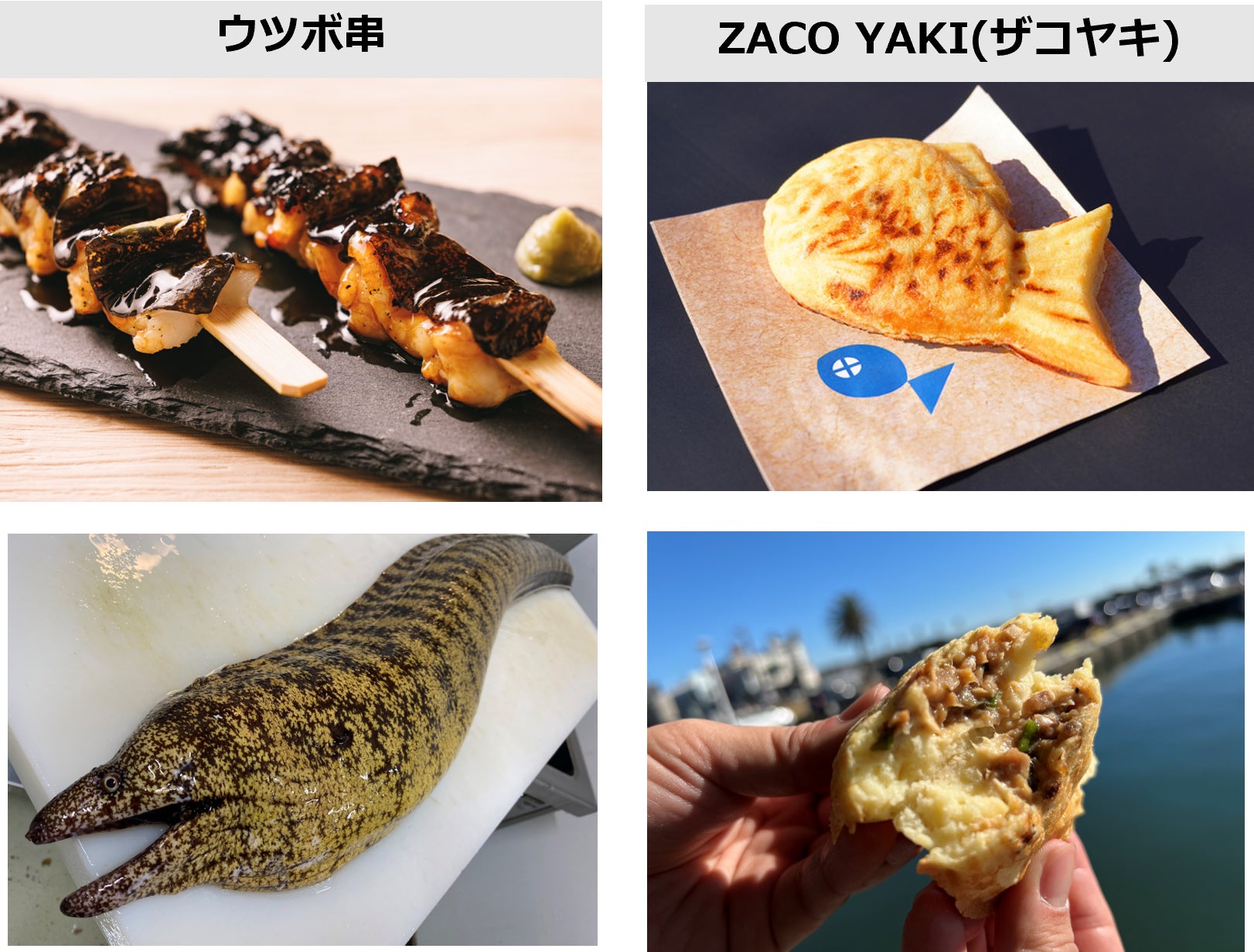 日本最大級の魚介グルメの祭典 過去最大約80ブース 第4回SAKANA&JAPAN FESTIVAL2023 魚ジャパンフェス in 代々木公園 同時開催 発見！ふくしまお魚まつりのサブ画像10