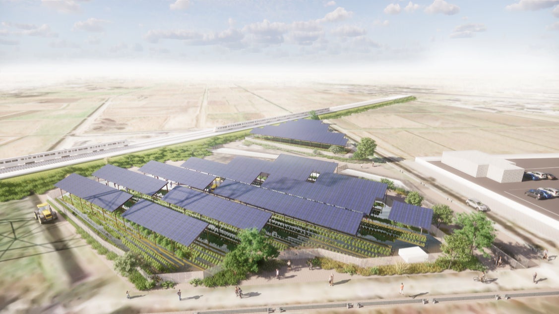 営農型の太陽光発電施設「ソーラーシェア」事業拡大に向け 東急不動産など関連する12社が連携のサブ画像2