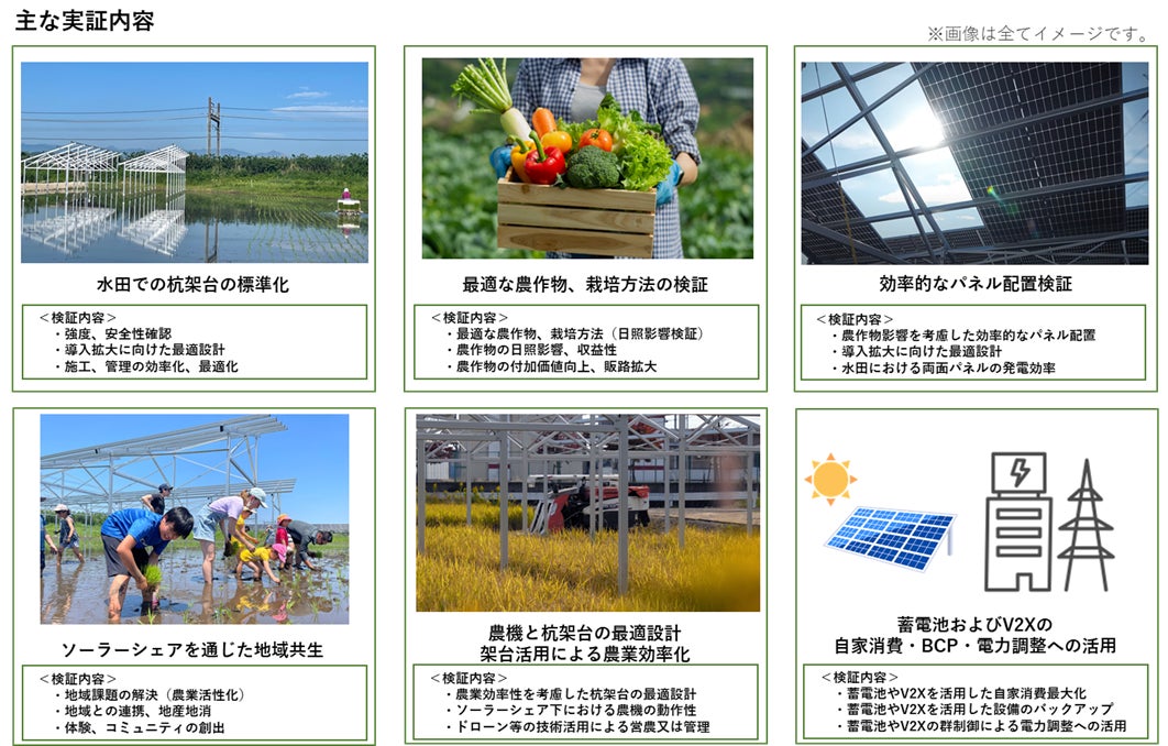 営農型の太陽光発電施設「ソーラーシェア」事業拡大に向け 東急不動産など関連する12社が連携のサブ画像5