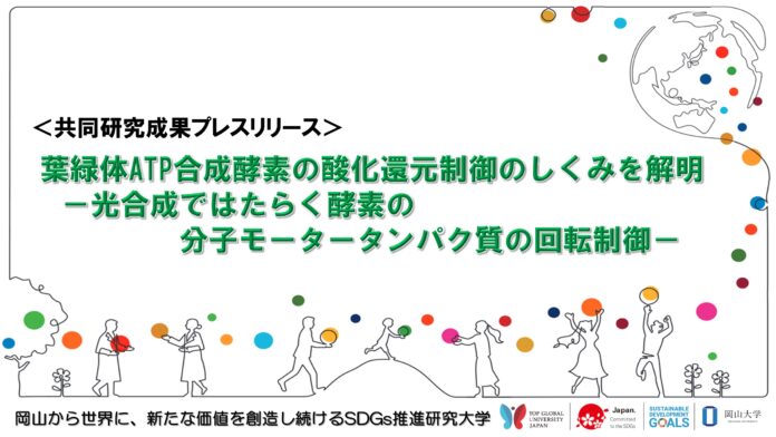 葉緑体ATP合成酵素の酸化還元制御のしくみを解明 －光合成ではたらく酵素の分子モータータンパク質の回転制御－〔東京工業大学、岡山大学〕のメイン画像