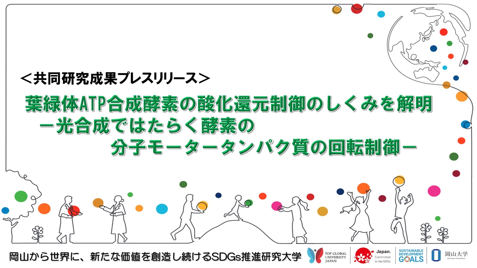 葉緑体ATP合成酵素の酸化還元制御のしくみを解明 －光合成ではたらく酵素の分子モータータンパク質の回転制御－〔東京工業大学、岡山大学〕のサブ画像1