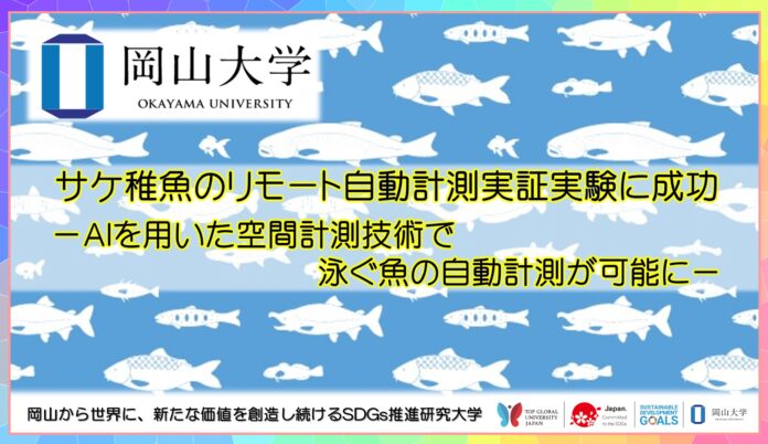 【岡山大学】サケ稚魚のリモート自動計測実証実験に成功－AIを用いた空間計測技術で泳ぐ魚の自動計測が可能に－のメイン画像