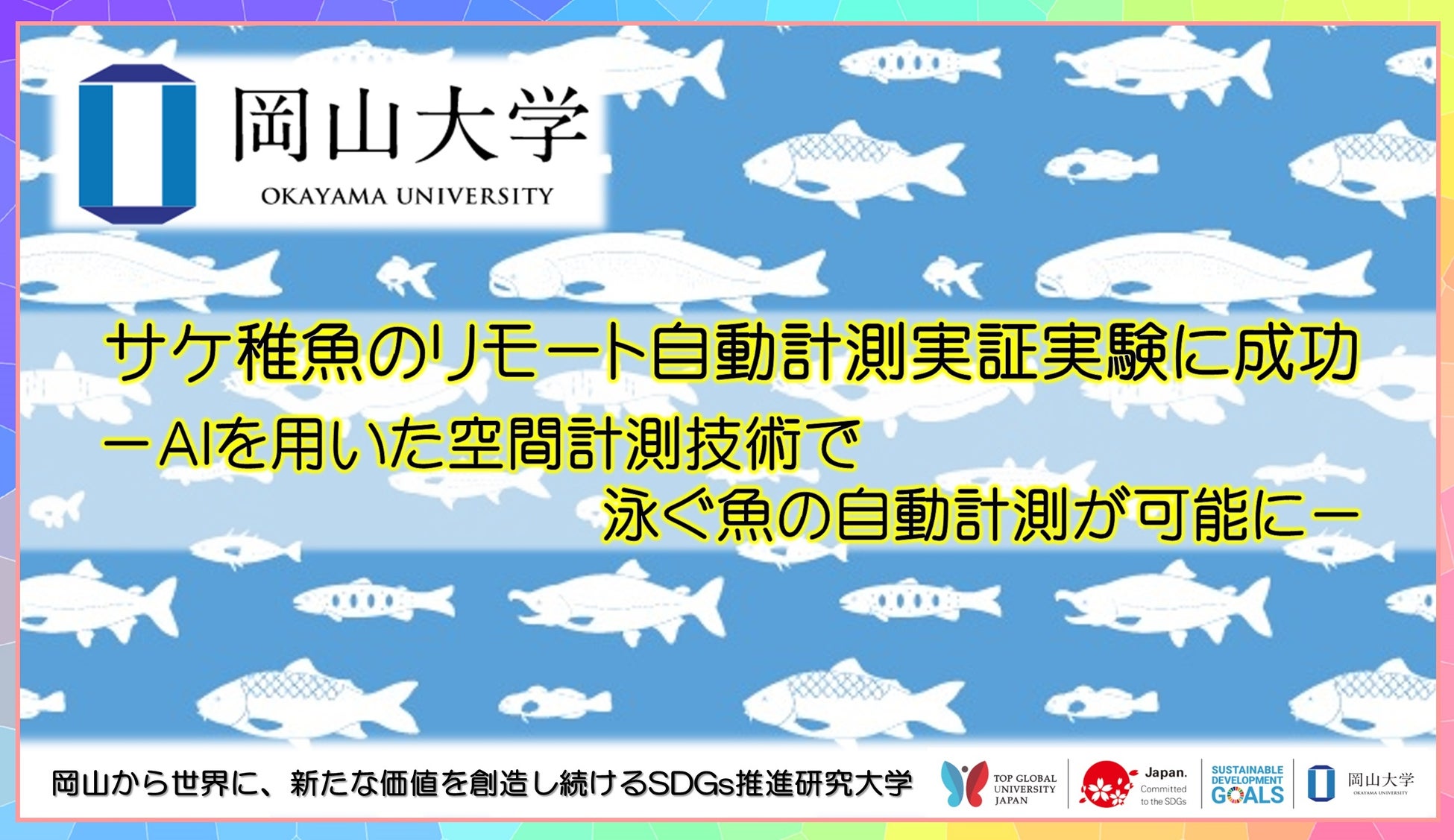 【岡山大学】サケ稚魚のリモート自動計測実証実験に成功－AIを用いた空間計測技術で泳ぐ魚の自動計測が可能に－のサブ画像1