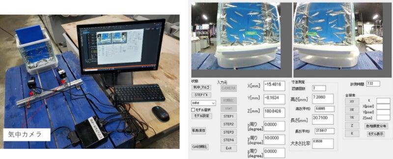 【岡山大学】サケ稚魚のリモート自動計測実証実験に成功－AIを用いた空間計測技術で泳ぐ魚の自動計測が可能に－のサブ画像2
