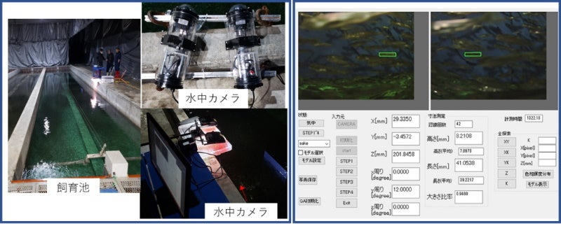 【岡山大学】サケ稚魚のリモート自動計測実証実験に成功－AIを用いた空間計測技術で泳ぐ魚の自動計測が可能に－のサブ画像3
