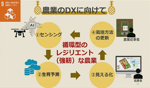 【沖縄高専】名護市長へ「高専GIRLS SDGs × Technology Contest（高専GCON2022）」文科大臣賞の受賞を報告のサブ画像2_チーム「パイナッポー🍍」農業のDX化に向けて