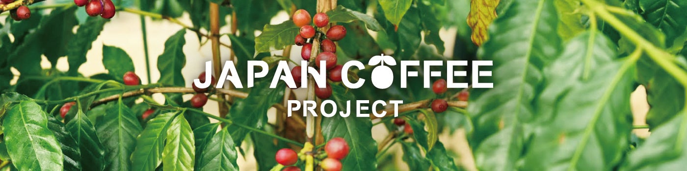 本州で《国産コーヒー》の栽培&収穫に成功 !!のサブ画像7
