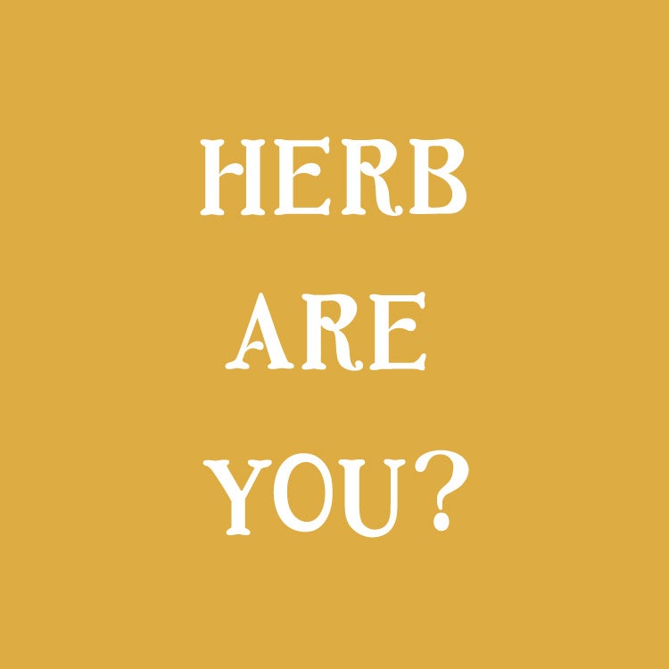 「お野菜以上、お薬未満のハーブティー」　植物療法士が監修する100種類以上のブレンドから選べる新サービス【Herb Are You?】を提供開始！　https://herbareyou.jp/のサブ画像5