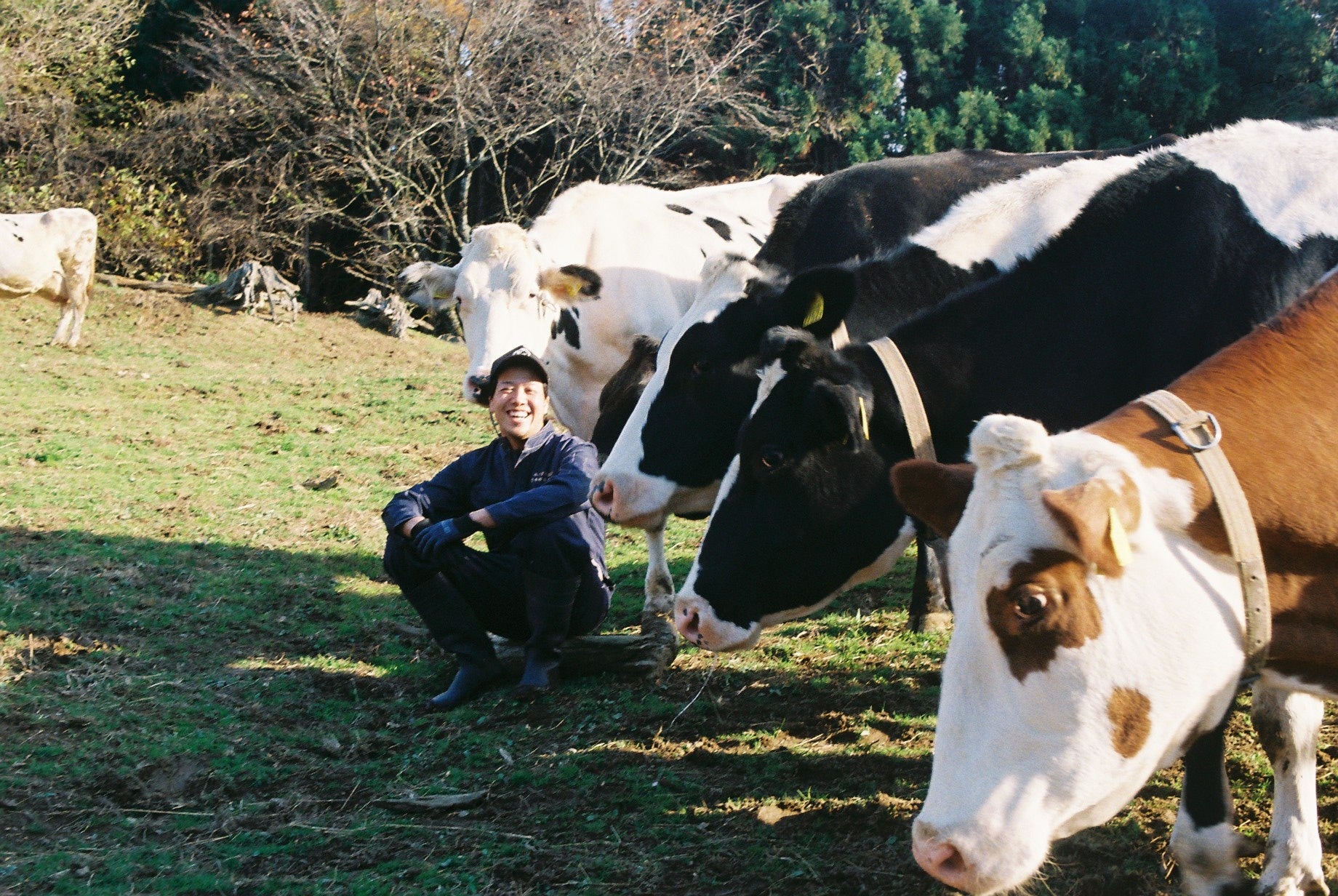 持続可能な畜産、アニマルウェルフェアに挑戦するブランド「幸せな牛の時代」を気仙沼から全国へ。のサブ画像1