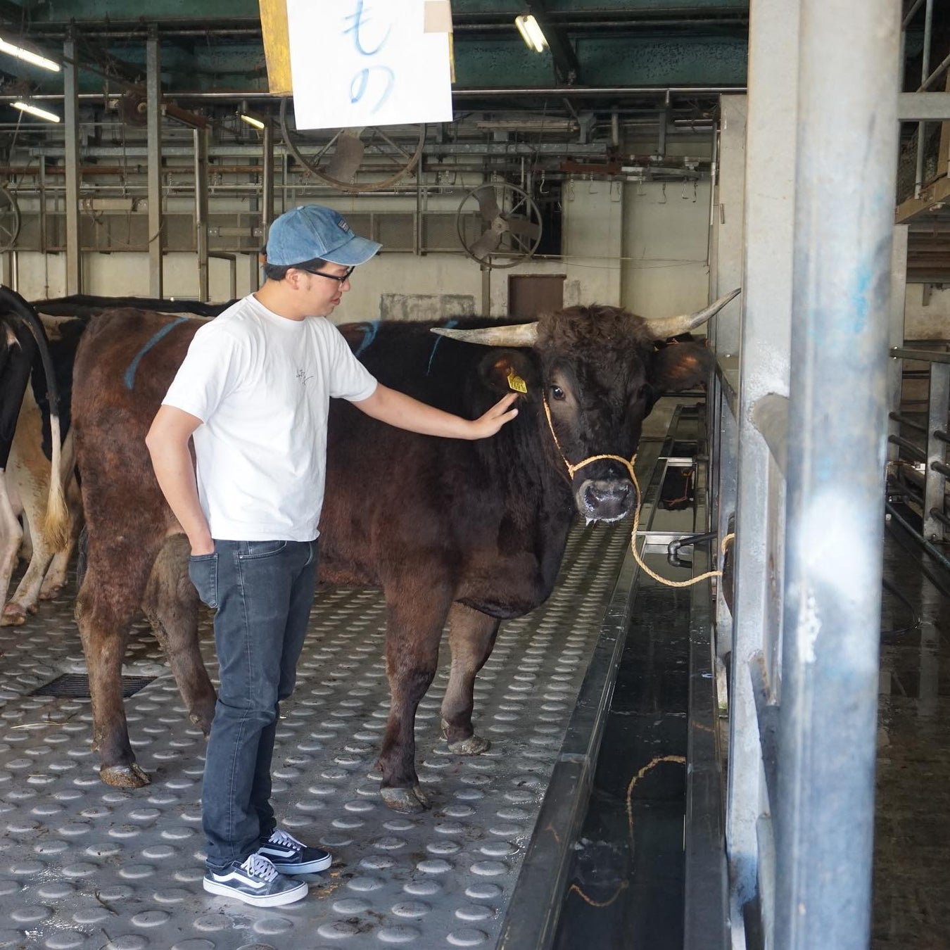 持続可能な畜産、アニマルウェルフェアに挑戦するブランド「幸せな牛の時代」を気仙沼から全国へ。のサブ画像3