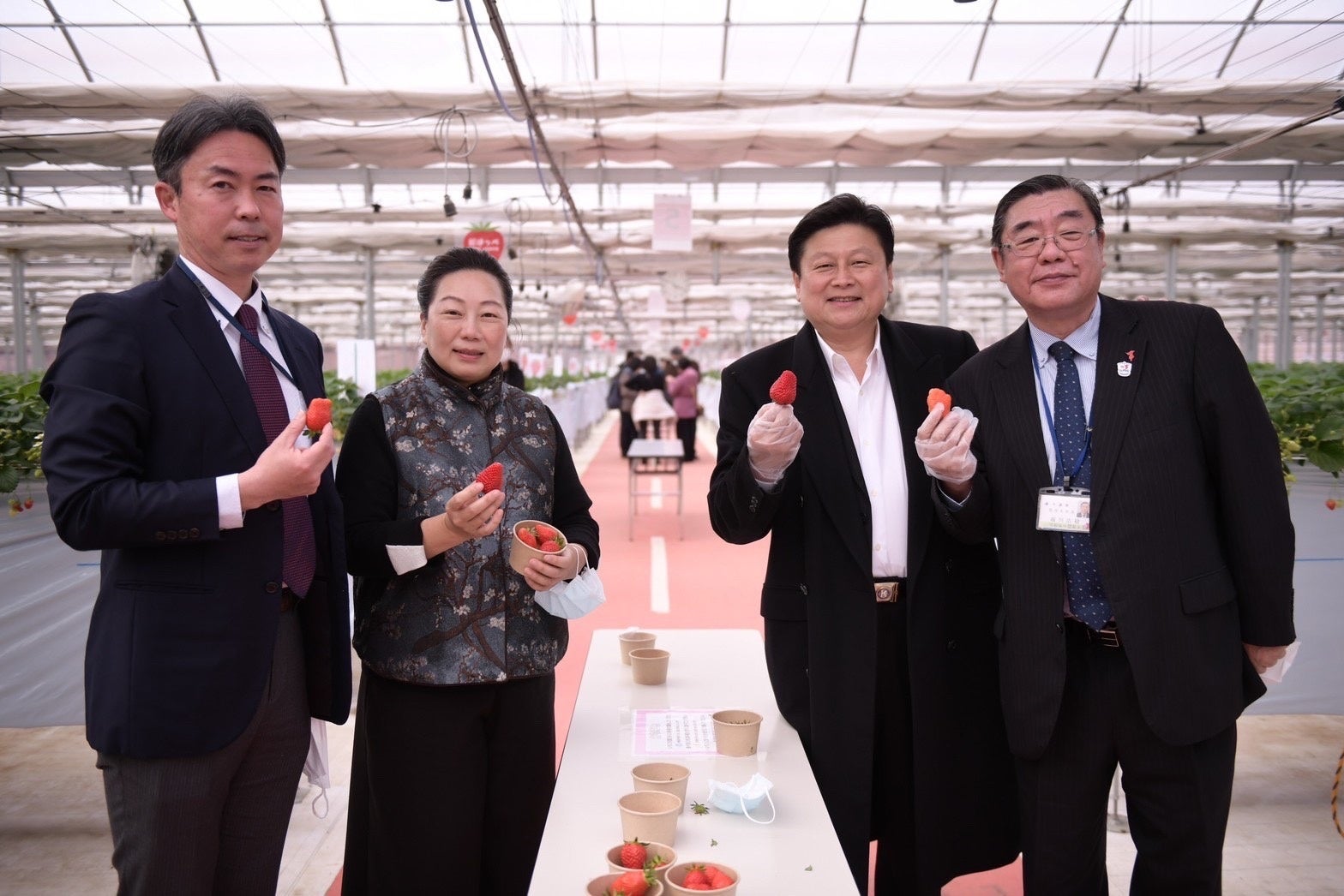 台湾花蓮県長徐榛蔚は訪問団を率いて展覧会に参加し、有機農産は日本で高度な問い合わせを受けました。のサブ画像3