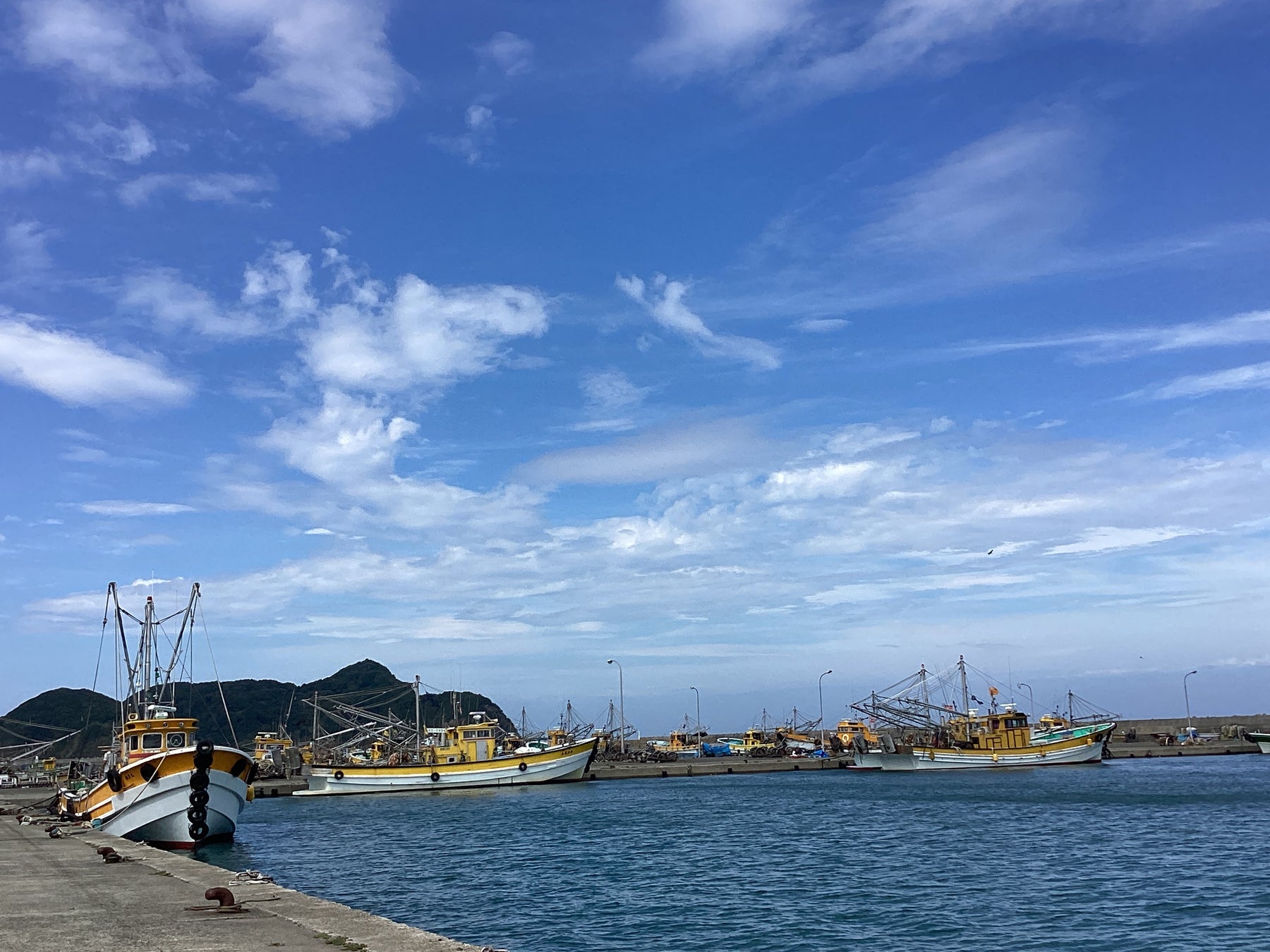 都市型BBQ場 運営のデジサーフ、海業（うみぎょう）振興のため、全国の漁協組合と連携した展開を開始。第1弾は和歌山県有田市「浜のうたせ」と連携のサブ画像13