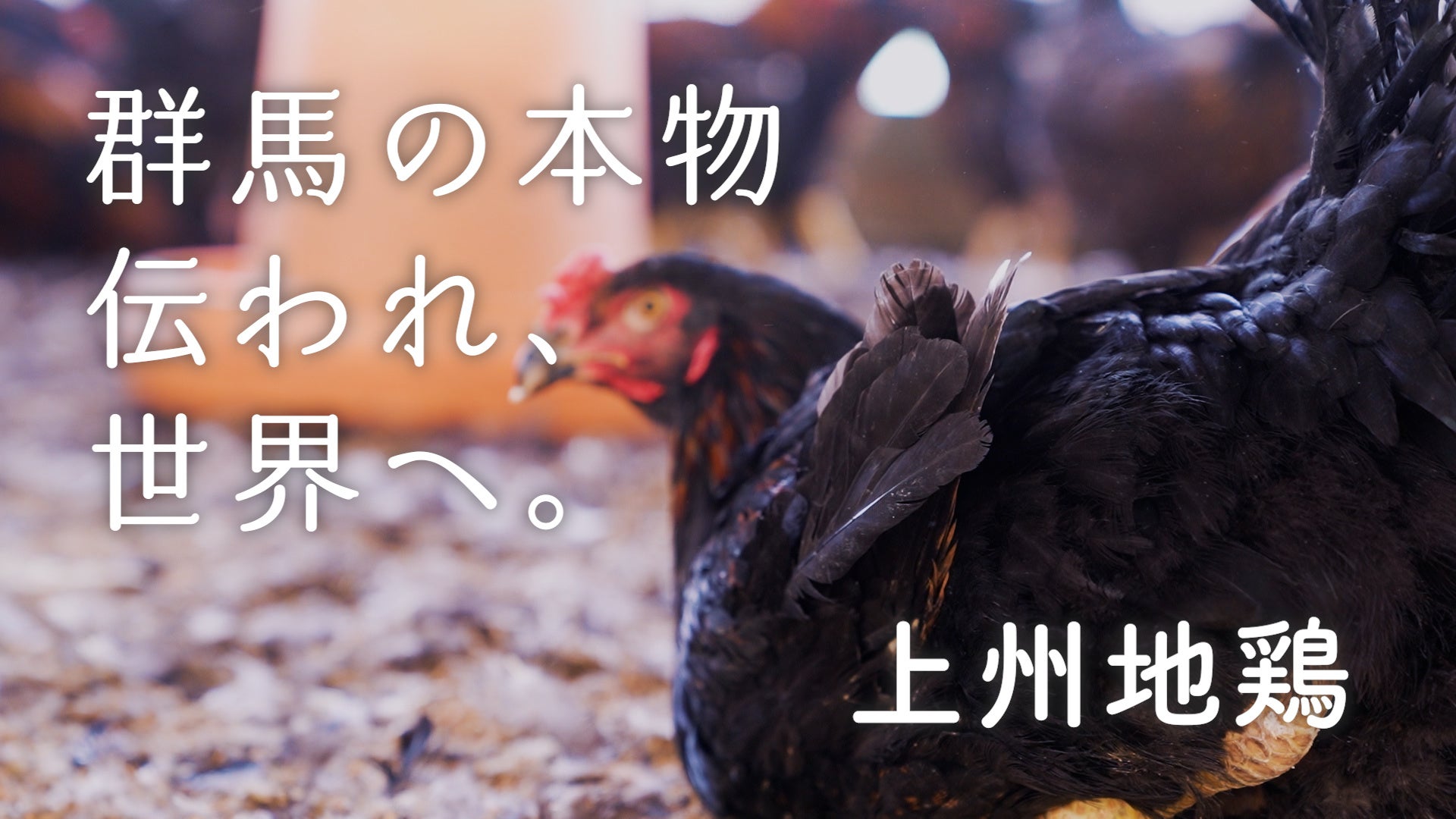 TOKYO FMが群馬県の農産物プロモーション動画を制作！インフルエンサーに高山都を起用／動画『群馬の本物 伝われ、世界へ。』　　　のサブ画像5