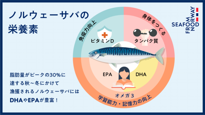 3月8日は「サバの日！」日本の食卓におなじみの万能魚「サバ」、実は約半数がノルウェー産！ のメイン画像