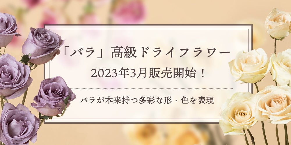 新商品「バラ」の高級ドライフラワーを販売開始！｜花の卸通販フラワースミスマーケットのサブ画像1