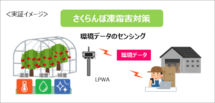 農業分野におけるLPWA活用モデルの普及促進に向けた実証実験の開始のメイン画像