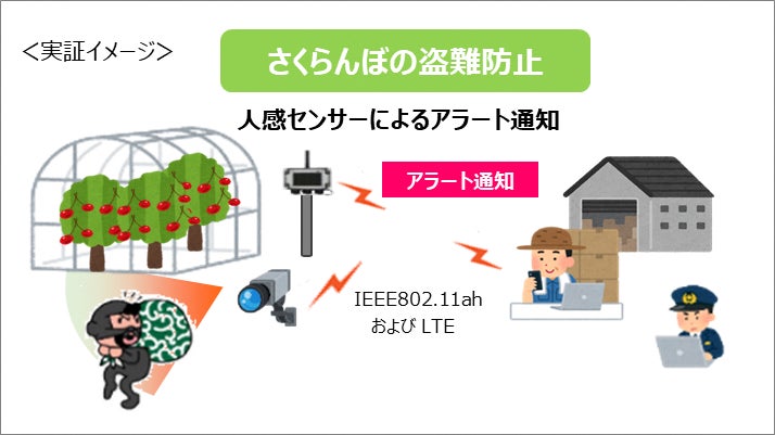 農業分野におけるLPWA活用モデルの普及促進に向けた実証実験の開始のサブ画像2