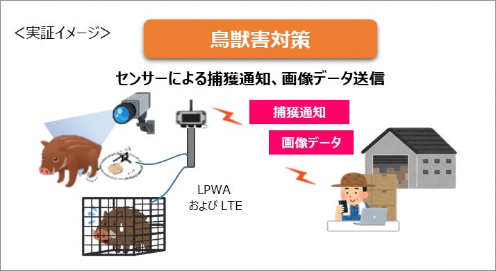 農業分野におけるLPWA活用モデルの普及促進に向けた実証実験の開始のサブ画像3