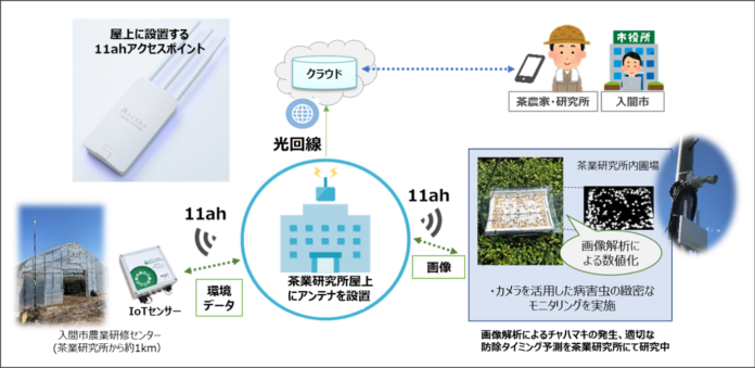 Wi-Fi新規格「IEEE 802.11ah」を活用した茶葉栽培の農業DXの実証実験を開始のメイン画像
