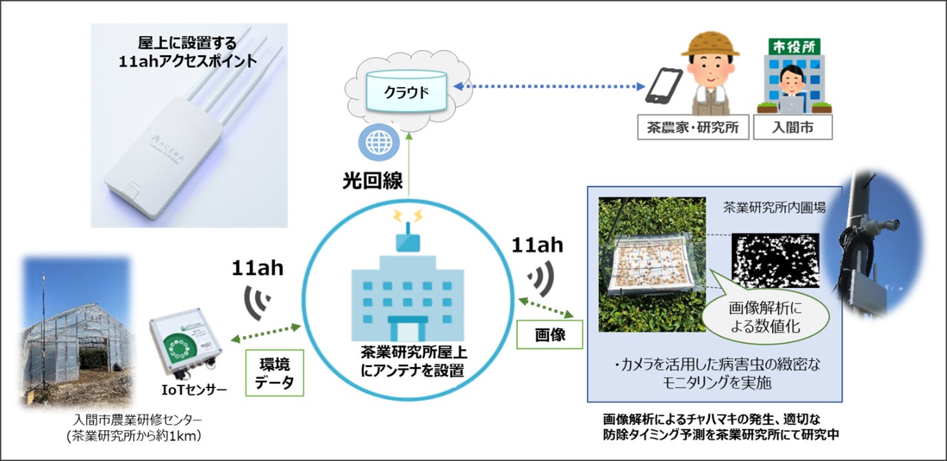 Wi-Fi新規格「IEEE 802.11ah」を活用した茶葉栽培の農業DXの実証実験を開始のサブ画像1