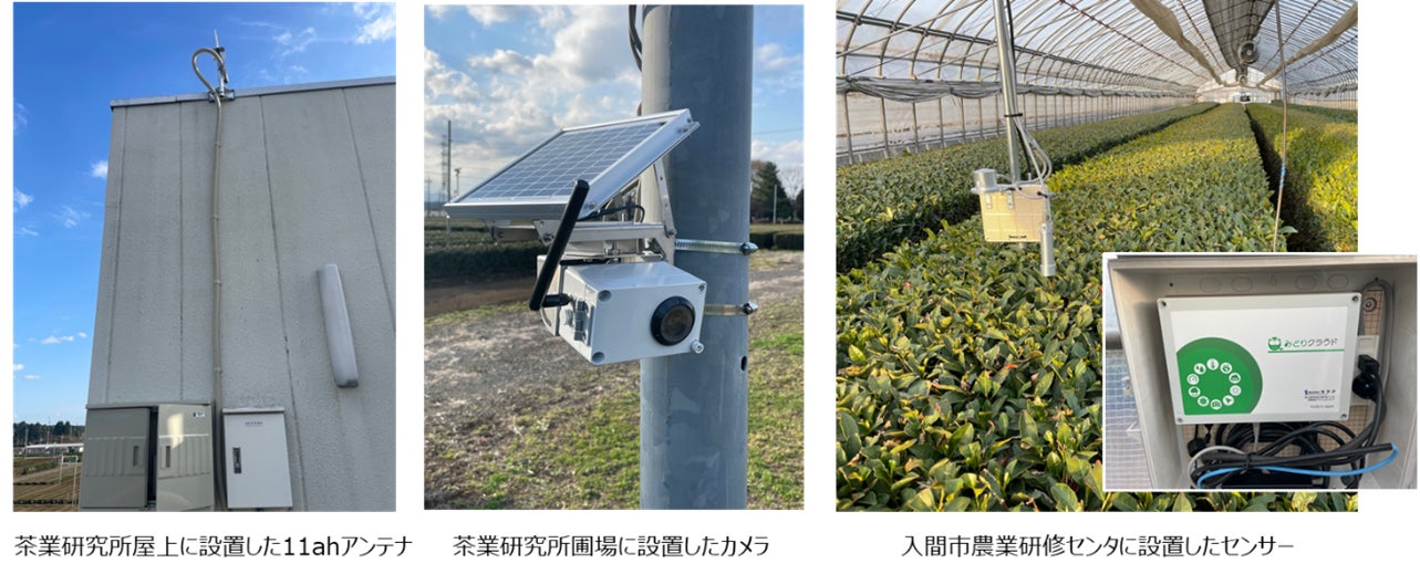 Wi-Fi新規格「IEEE 802.11ah」を活用した茶葉栽培の農業DXの実証実験を開始のサブ画像2