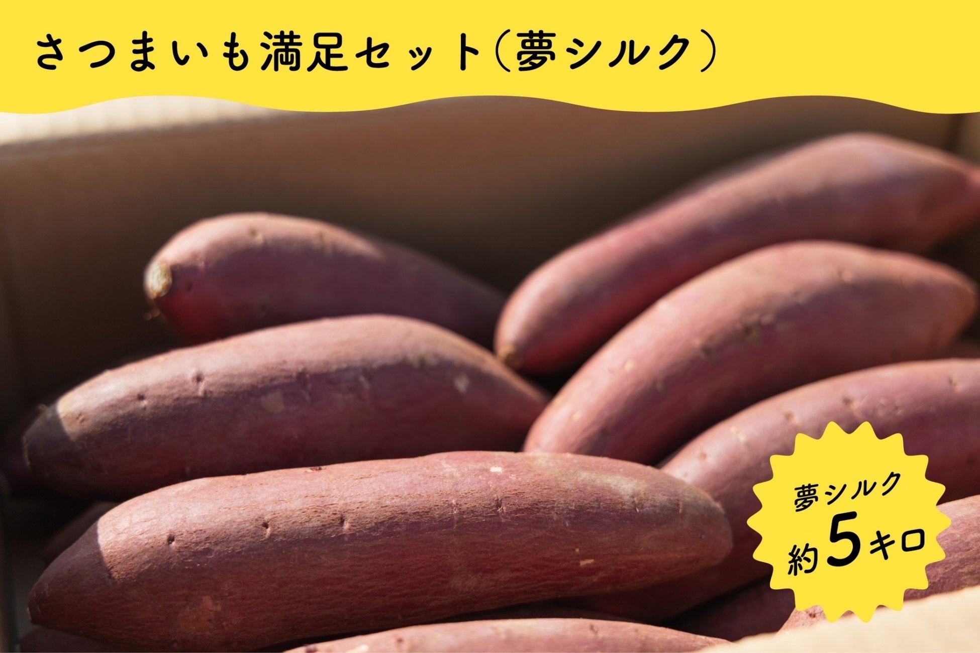 大阪・八尾の「オオサカポテト」が、子ども達が畑で遊べる社会をつくる大阪さつまいも収穫祭プロジェクトをスタートのサブ画像9