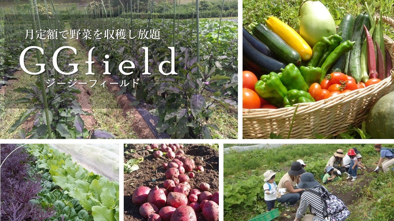 月定額で約150種類の野菜を収穫し放題！SDGsに貢献するサブスクリプションサービス「GGfield」4月28日オープンのサブ画像1