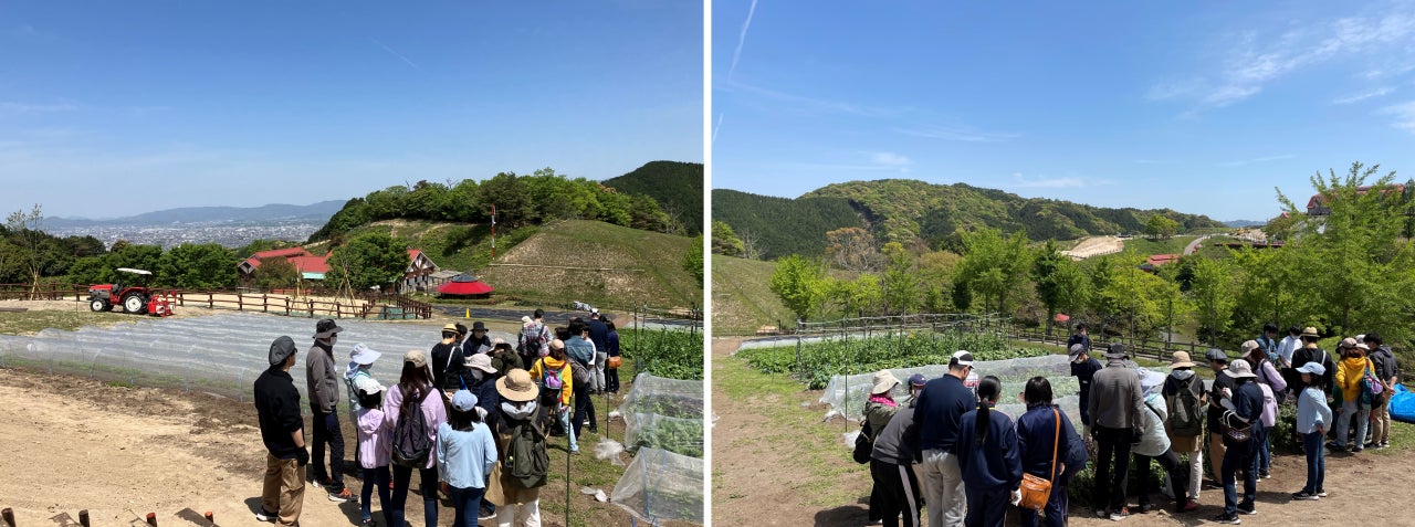 季節野菜の収穫体験が楽しめる『四時（しいじ）農場』が4/29にグランドオープン！｜ABURAYAMA FUKUOKA（福岡市）内のサブ画像2